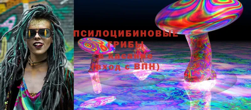 Псилоцибиновые грибы Magic Shrooms  Никольск 